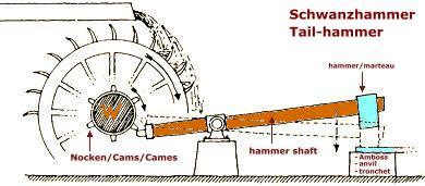 Schwanzhammer