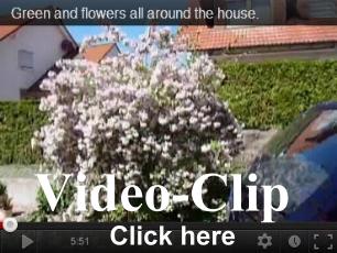 picvideogreenandflowers.jpg